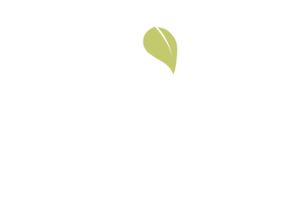 Zahnarzt Mössingen, Implantologie, Parodontologie, Kinderzahnheilkunde